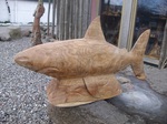 Ein Hai aus Holz tut nichts